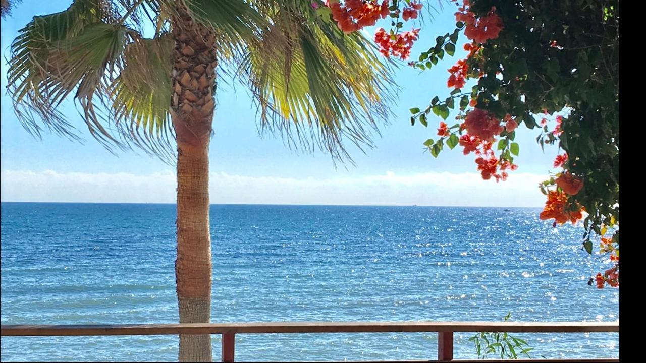 Mi Capricho 3-5 Beachfront- Apartment With Sea Views In Costa Del Sol Sitio de Calahonda Luaran gambar